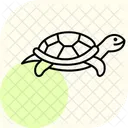 Red Eared Slider Redearedslider Pet Icon