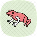 Red Eyed Tree Frog Redeyedtreefrog Amphibian Icon