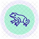 Red Eyed Tree Frog Redeyedtreefrog Amphibian Icon