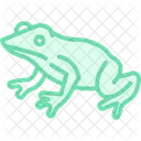 Red Eyed Tree Frog Icon