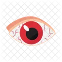 Person Vision Eye Icon