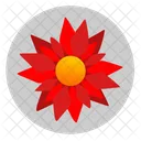 Red Astra Rose Icon