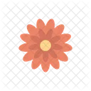 Red Flower Flower Nature Icon