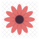 Flower Leaf Floral Icon
