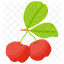 Red Gooseberry Berry Fruit Gooseberry Fruit Icon