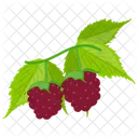 Red Grapes Grapes Berry Fruit Icon