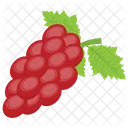 Red Grapes Pulpy Icon