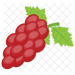 Red Grapes  Icon