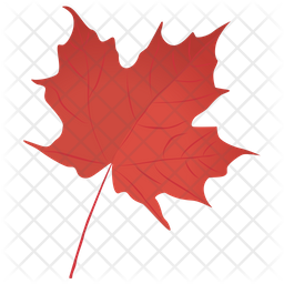 Red Maple Icon