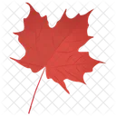 Red Maple Maple Leaf Autumn Leaf Icon