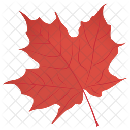 Red Maple Icon