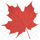 Red Maple Maple Leaf Leaf Icon