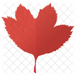Red Maple Icon