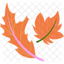 Red Maple Leaf Canada Plant Icon