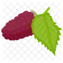 Red Mulberry Red Berries Berries Icon
