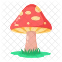 Red Mushroom Red Toadstool Red Fungus Icon