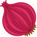 Onion Red Food Icône