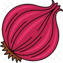 Onion Red Food Icône