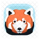 Red Panda Icon