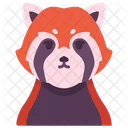 Red Panda Animal Cute Icon