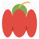 Red Pepper Bell Pepper Icon