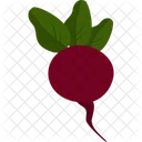 Radish Vegetable Organic Icon