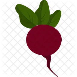 Red Radish  Icon