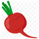 Red Radish Turnip Red Beet Icon