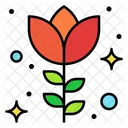 Red Rose Blossom Flower Icon