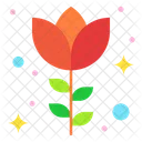 Red Rose Blossom Flower Icon