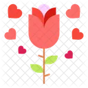 Flower Red Flower Heart Icon