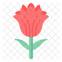 Red Rose  Icon