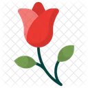 Red Rose  Icon