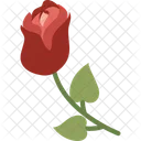 Red Rose Flower Rose Icon