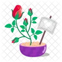 Rose Cartoon Rose Stickers Blooming Flowers Icon