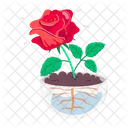 Rose Cartoon Rose Stickers Blooming Flowers Icon