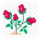 Rose Cartoon Rose Stickers Blooming Flowers Icon