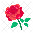 Rose Cartoon Rose Stickers Spring Flowers Icon