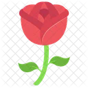 Red Rose Rose Flower Icon