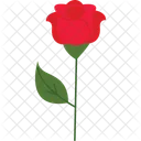 Red Rose Romantic Bloom Love Symbol Icon