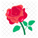 Rose Cartoon Rose Stickers Spring Flowers Icon