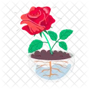 Rose Cartoon Rose Stickers Blooming Flowers Icon