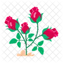 Rose Cartoon Rose Stickers Blooming Flowers Icon