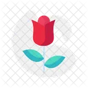 Red Rose  Icon