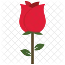 Red Rose  Icon