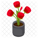 Red Roses  Icon