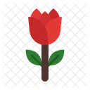 Red Roses Icon
