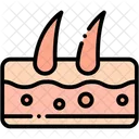 Red Spot Skin Dermatology Recovery Icon