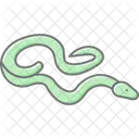 Red Tailed Boa Redtailedboa Reptile Icon