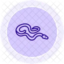 Red Tailed Boa Redtailedboa Reptile Icon